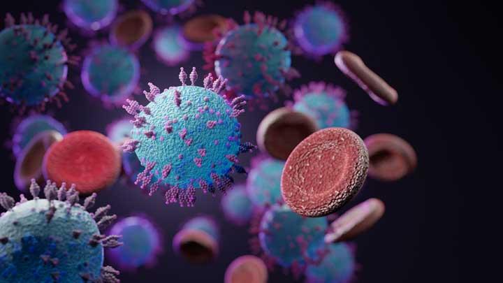 Virus HKU5 Mirip Covid-19 Akan Jadi Pandemi Baru?
